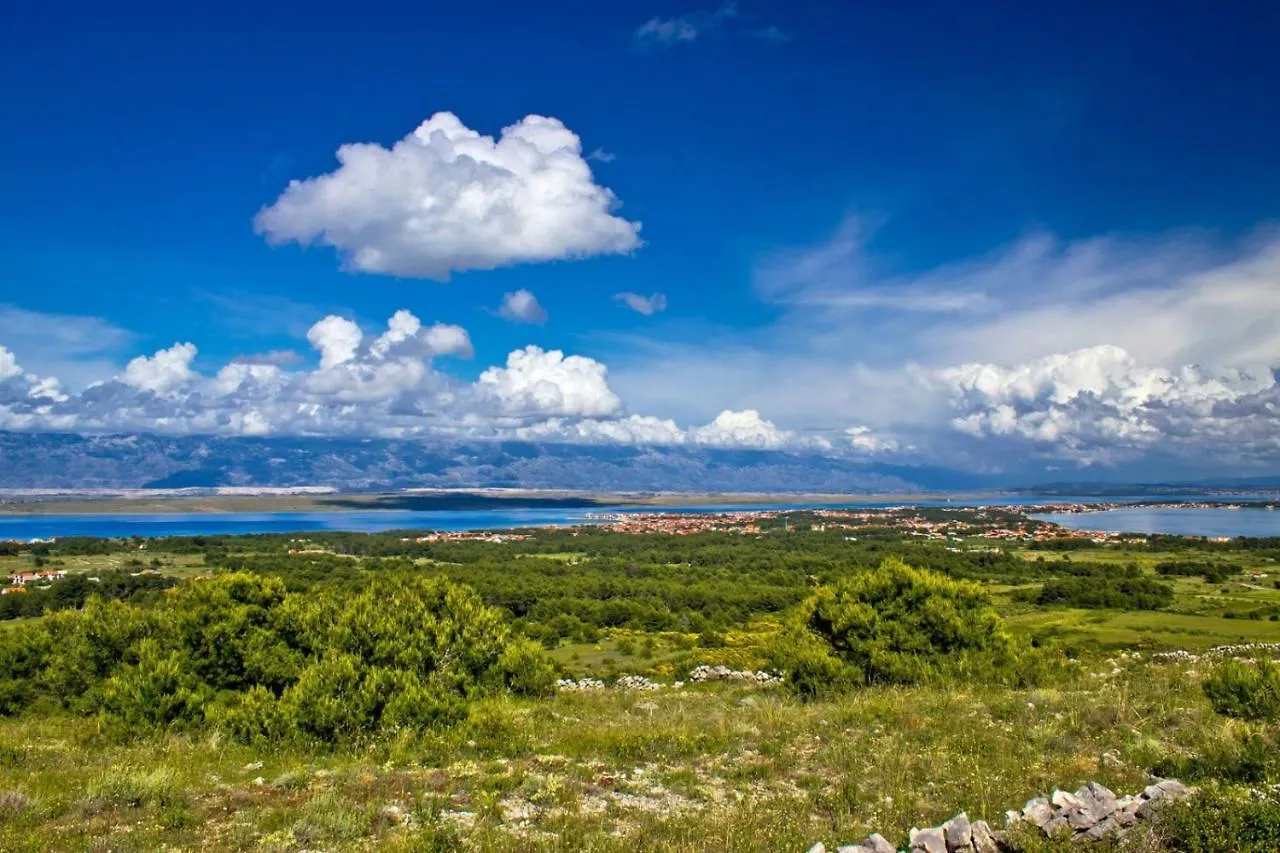 Apartment In Vir With Sea View, Balcony, Air Conditioning Wifi 3777-2 Croatia
